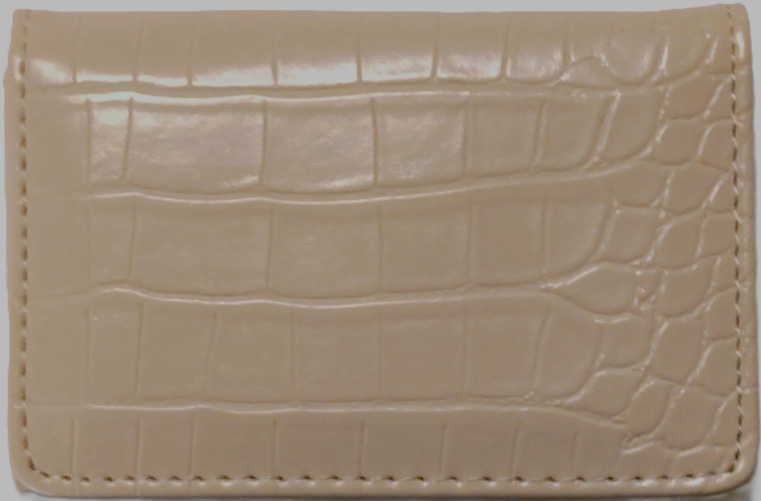 zz-c.style-ivory-b.cardcase